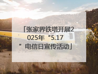 张家界铁塔开展2025年“5.17”电信日宣传活动