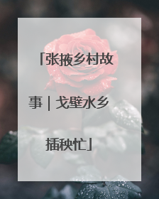 张掖乡村故事｜戈壁水乡插秧忙