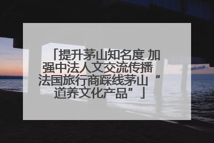 提升茅山知名度 加强中法人文交流传播 法国旅行商踩线茅山“道养文化产品”