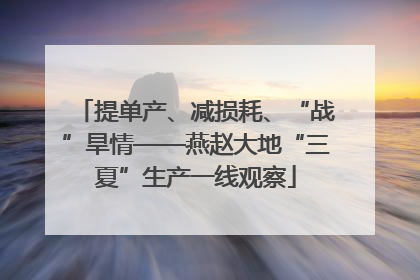 提单产、减损耗、“战”旱情——燕赵大地“三夏”生产一线观察