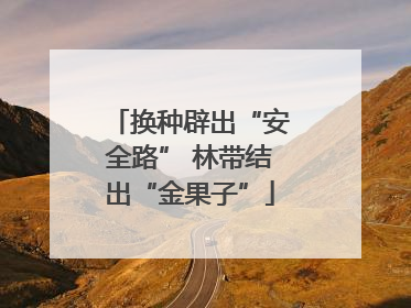 换种辟出“安全路” 林带结出“金果子”