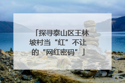 探寻泰山区王林坡村当“红”不让的“网红密码”