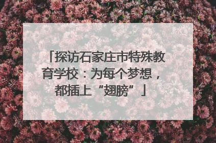 探访石家庄市特殊教育学校：为每个梦想，都插上“翅膀”