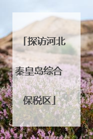 探访河北秦皇岛综合保税区