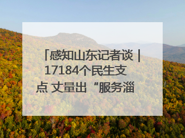 感知山东记者谈｜17184个民生支点 丈量出“服务淄博”的文明温度