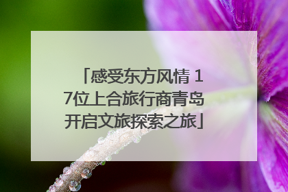 感受东方风情 17位上合旅行商青岛开启文旅探索之旅