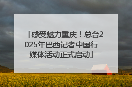 感受魅力重庆！总台2025年巴西记者中国行媒体活动正式启动