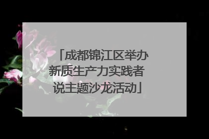 成都锦江区举办新质生产力实践者说主题沙龙活动