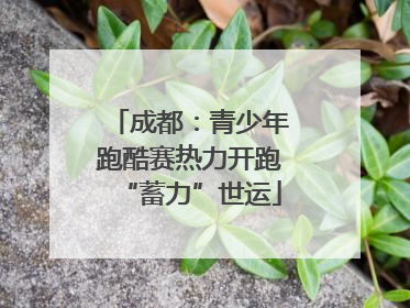 成都：青少年跑酷赛热力开跑“蓄力”世运