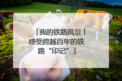 我的铁路风景︱感受跨越百年的铁路“印记”