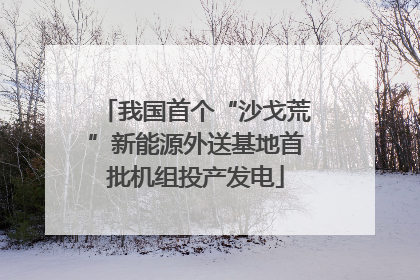 我国首个“沙戈荒”新能源外送基地首批机组投产发电