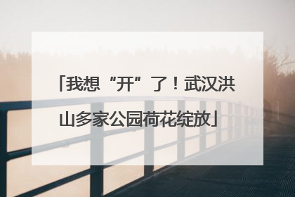 我想“开”了！武汉洪山多家公园荷花绽放