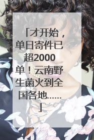 才开始，单日寄件已超2000单！云南野生菌火到全国各地……