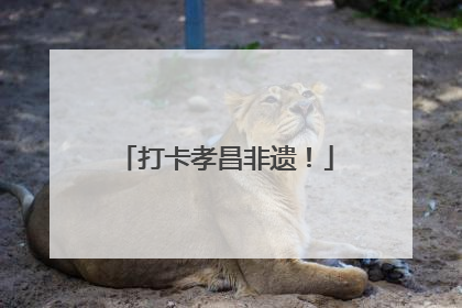 打卡孝昌非遗！