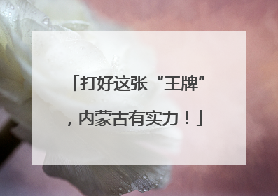 打好这张“王牌”，内蒙古有实力！