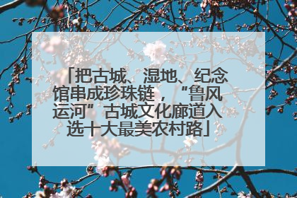 把古城、湿地、纪念馆串成珍珠链，“鲁风运河”古城文化廊道入选十大最美农村路