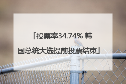 投票率34.74% 韩国总统大选提前投票结束