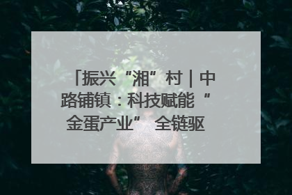 振兴“湘”村｜中路铺镇：科技赋能“金蛋产业” 全链驱动乡村振兴