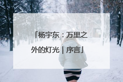 杨宇东：万里之外的灯光｜序言