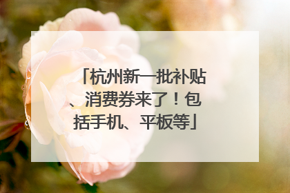 杭州新一批补贴、消费券来了！包括手机、平板等