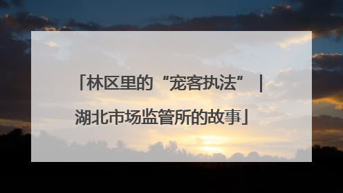 林区里的“宠客执法”｜湖北市场监管所的故事