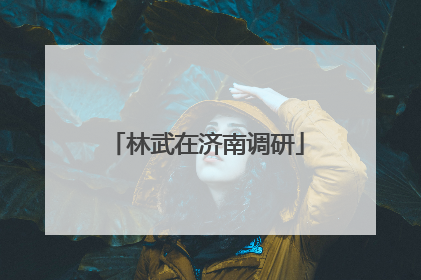 林武在济南调研
