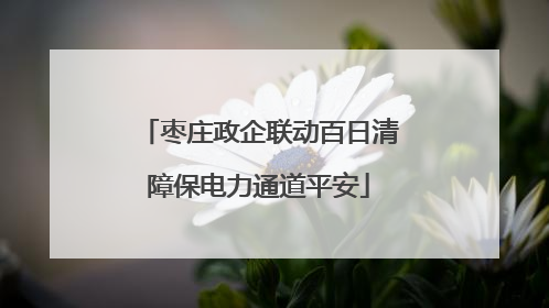 枣庄政企联动百日清障保电力通道平安
