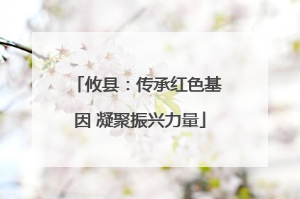 攸县：传承红色基因 凝聚振兴力量