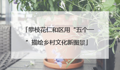 攀枝花仁和区用“五个一”描绘乡村文化新图景