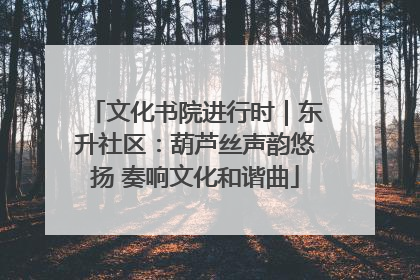 文化书院进行时｜东升社区：葫芦丝声韵悠扬 奏响文化和谐曲