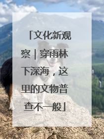 文化新观察｜穿雨林下深海，这里的文物普查不一般