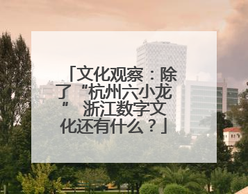 文化观察：除了“杭州六小龙” 浙江数字文化还有什么？