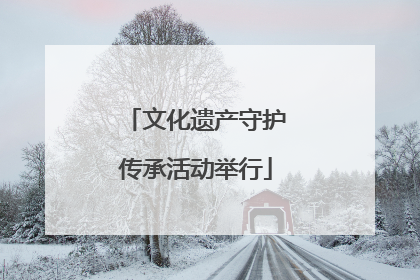 文化遗产守护传承活动举行