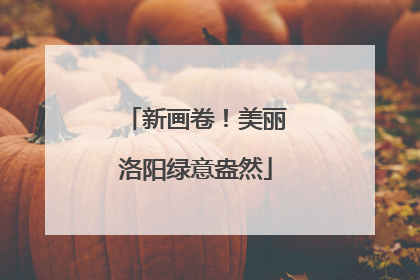 新画卷！美丽洛阳绿意盎然