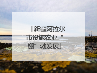 新疆阿拉尔市设施农业“棚”勃发展