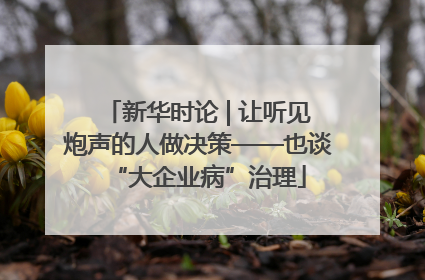 新华时论 | 让听见炮声的人做决策——也谈“大企业病”治理