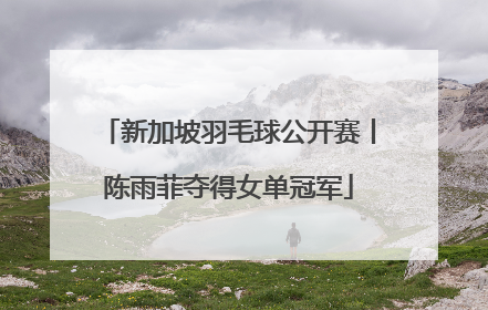 新加坡羽毛球公开赛丨陈雨菲夺得女单冠军