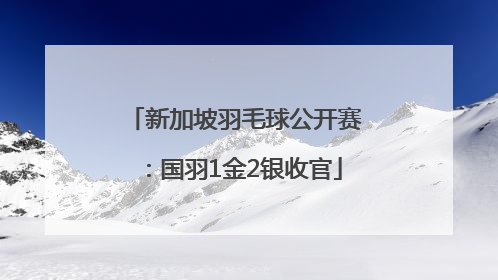 新加坡羽毛球公开赛：国羽1金2银收官