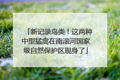 新记录鸟类！这两种中型猛禽在南滚河国家级自然保护区现身了