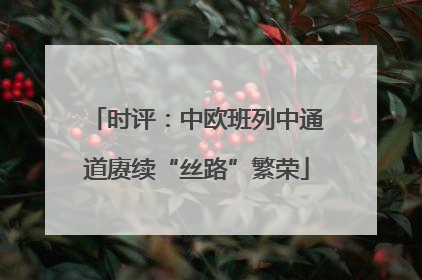 时评：中欧班列中通道赓续“丝路”繁荣