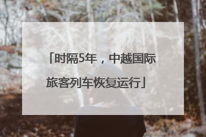 时隔5年，中越国际旅客列车恢复运行