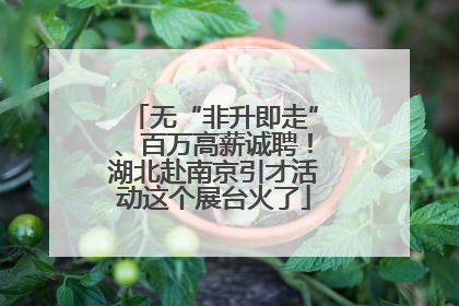 无“非升即走”、百万高薪诚聘！湖北赴南京引才活动这个展台火了