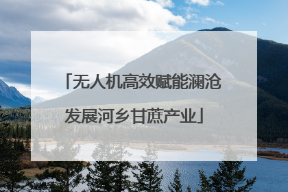 无人机高效赋能澜沧发展河乡甘蔗产业