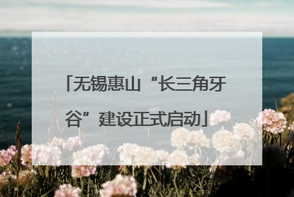 无锡惠山“长三角牙谷”建设正式启动