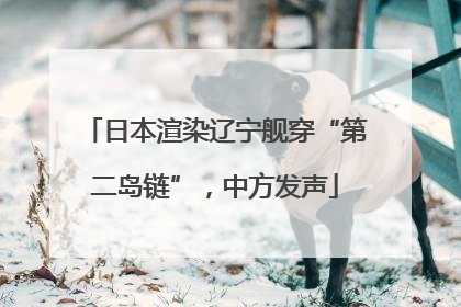 日本渲染辽宁舰穿“第二岛链”，中方发声