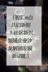 智汇π点 共启新程！社区新兴领域企业沙龙解锁发展新动能