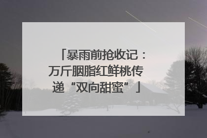 暴雨前抢收记：万斤胭脂红鲜桃传递“双向甜蜜”
