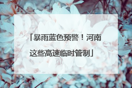 暴雨蓝色预警！河南这些高速临时管制