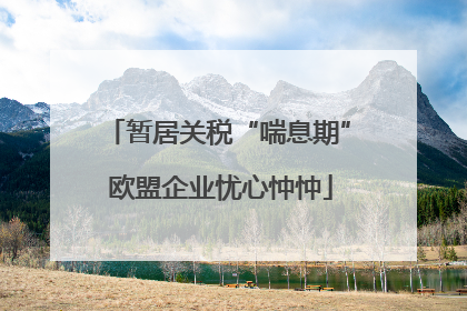 暂居关税“喘息期” 欧盟企业忧心忡忡