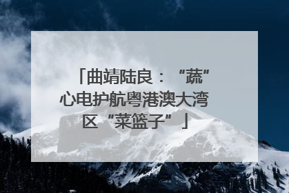 曲靖陆良：“蔬”心电护航粤港澳大湾区“菜篮子”